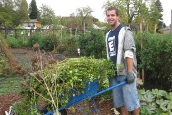 Getting rid of weeds at bayer farm