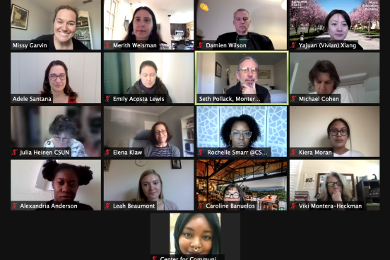 Zoom screenshot - Deepening Reflections meeting