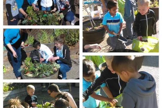 Gold Ridge Preschool Dinosaur Garden