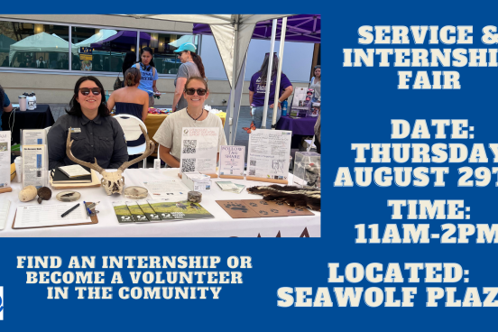 LoboVision ad for Service & Internship Fair
