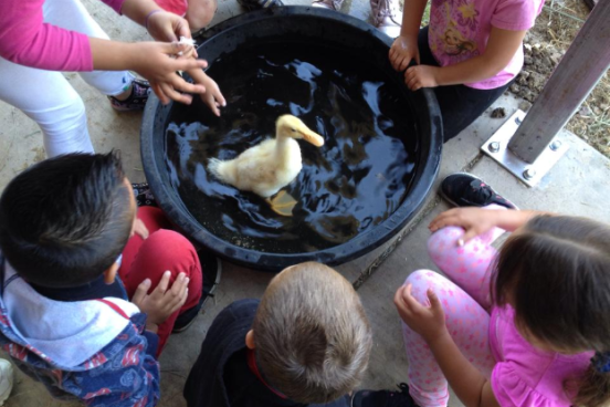 Young kids enjoy bathing a duck with help from SSU students