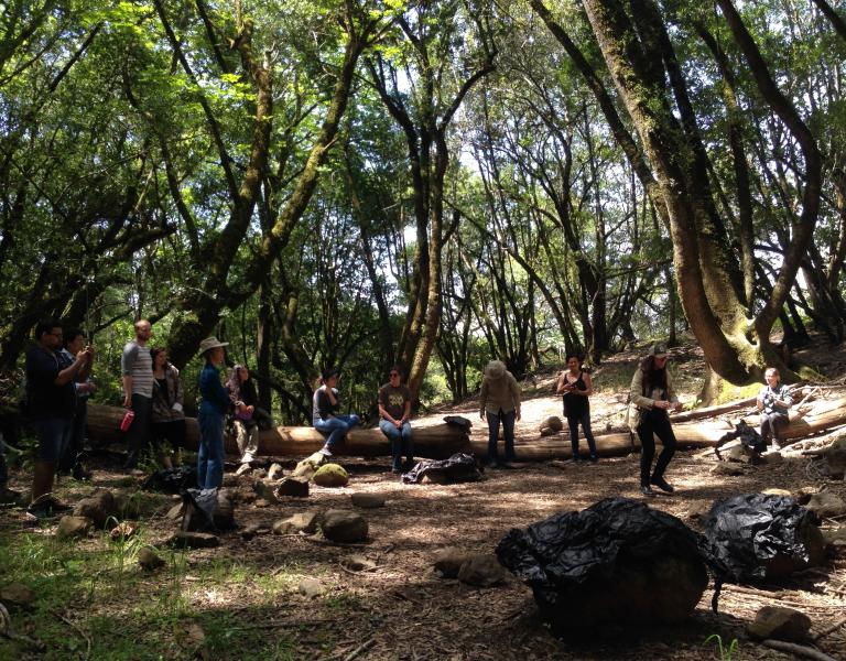 Groups helping with fire response