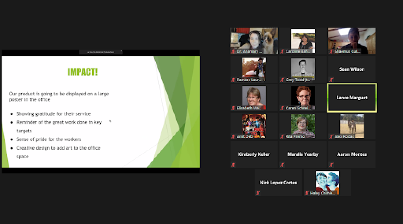 Screenshot Zoom Meeting on Vaccines 4