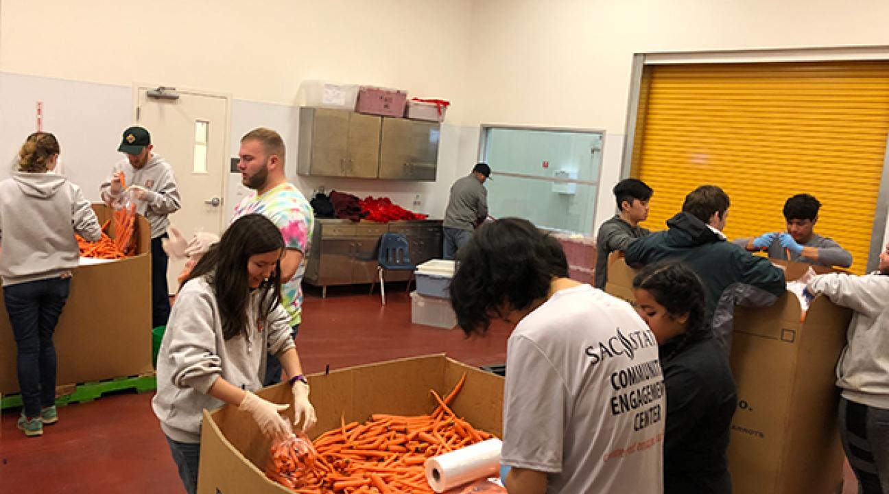 Sac State students at Redwood Empire Food Bank. They bagged over 5,000 pounds of carrots!