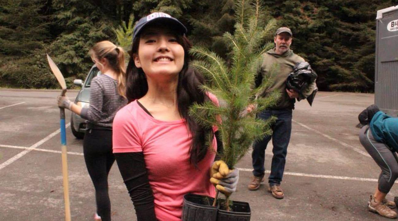 I'm planting trees
