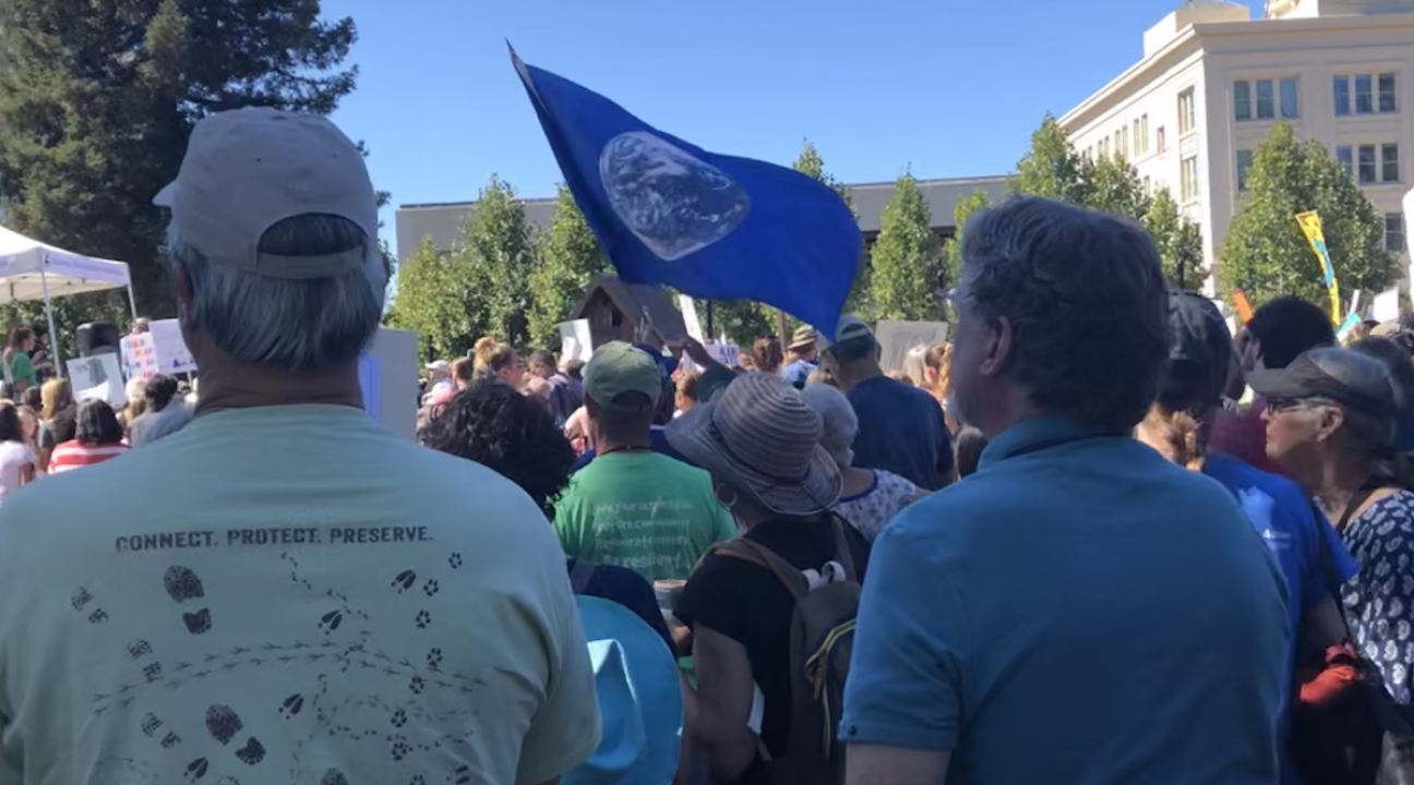 Folks marching during the Climate March 2019