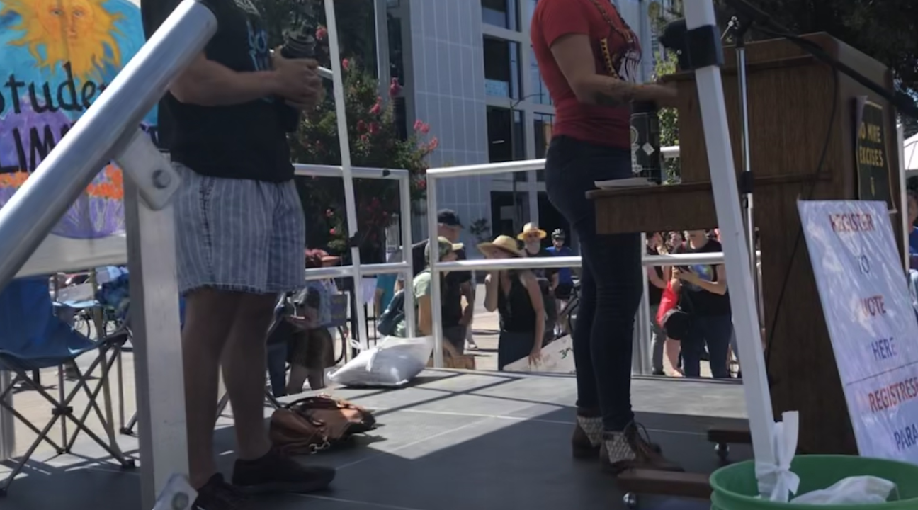 Presentation at Climate March 2019