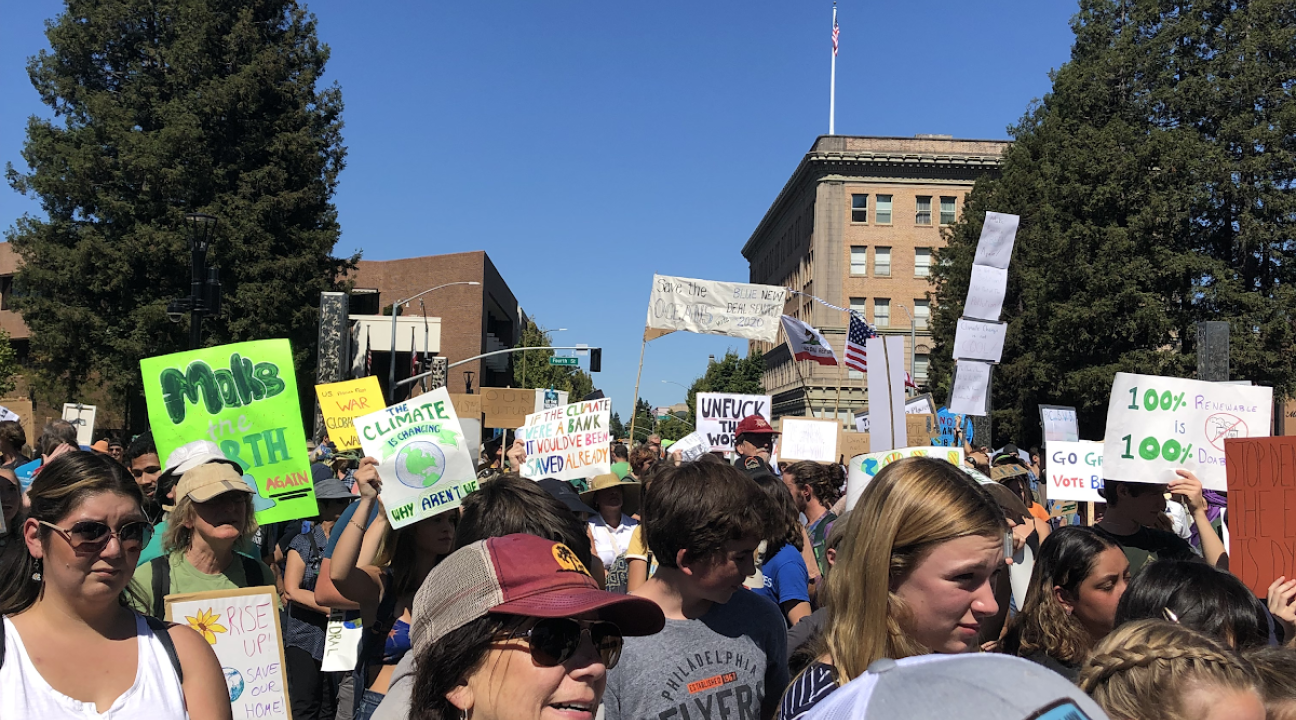 Participants at Climate March 2019