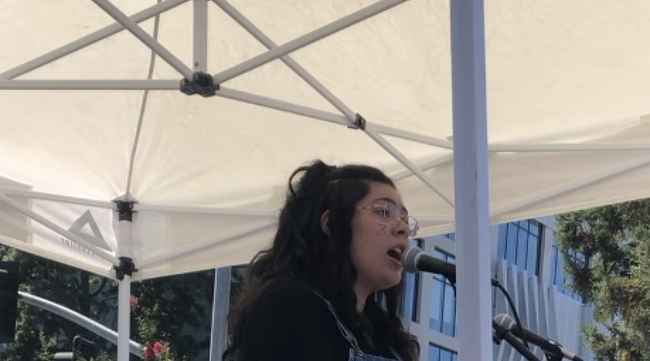 Speaker at Climate March 2019