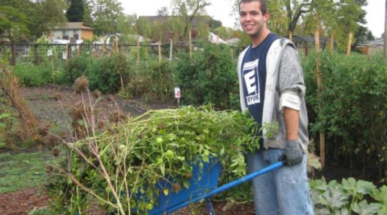 Getting rid of weeds at bayer farm
