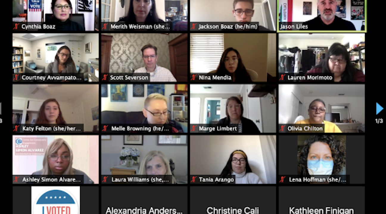 Screenshot from "Day After" Zoom meeting