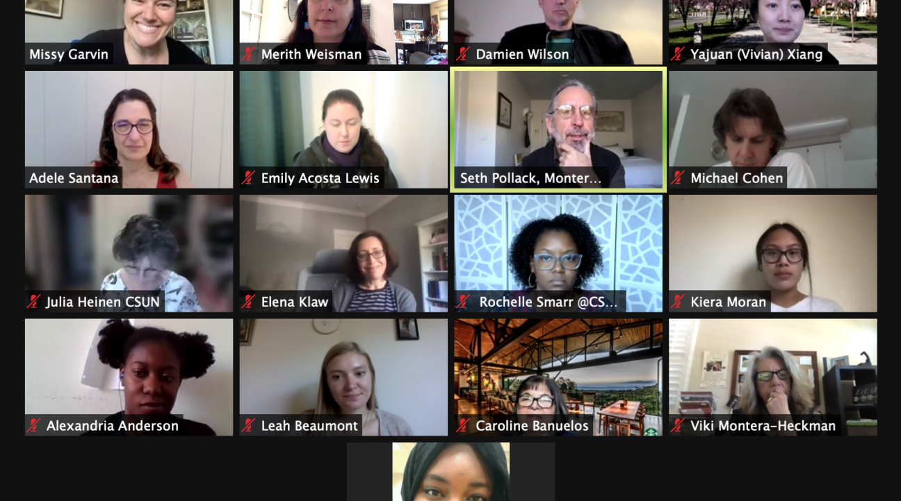 Zoom screenshot - Deepening Reflections meeting