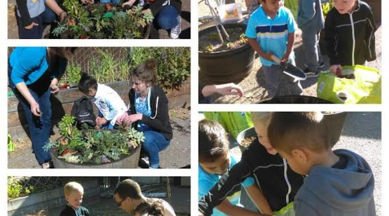 Gold Ridge Preschool Dinosaur Garden