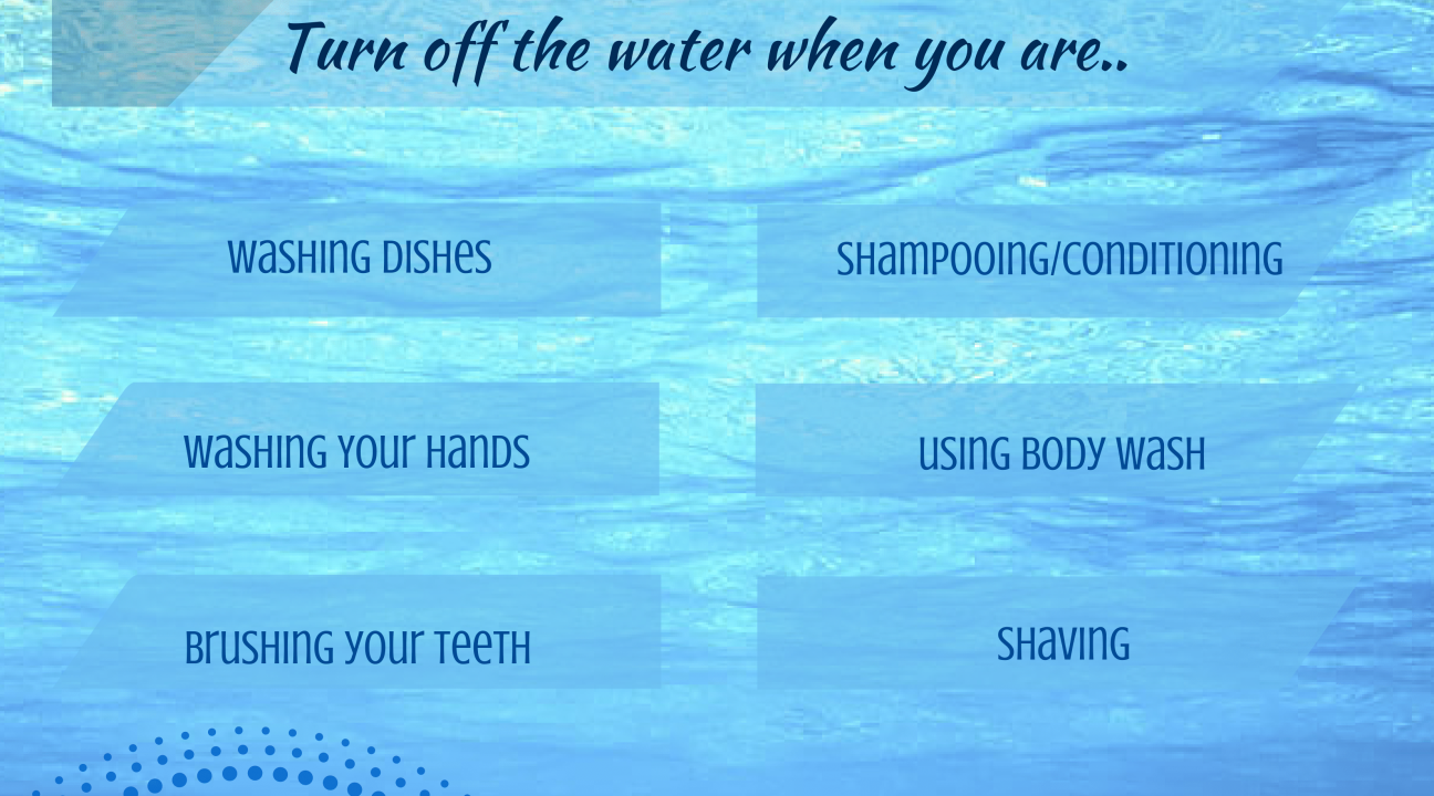 Tip 2: Water saving tips