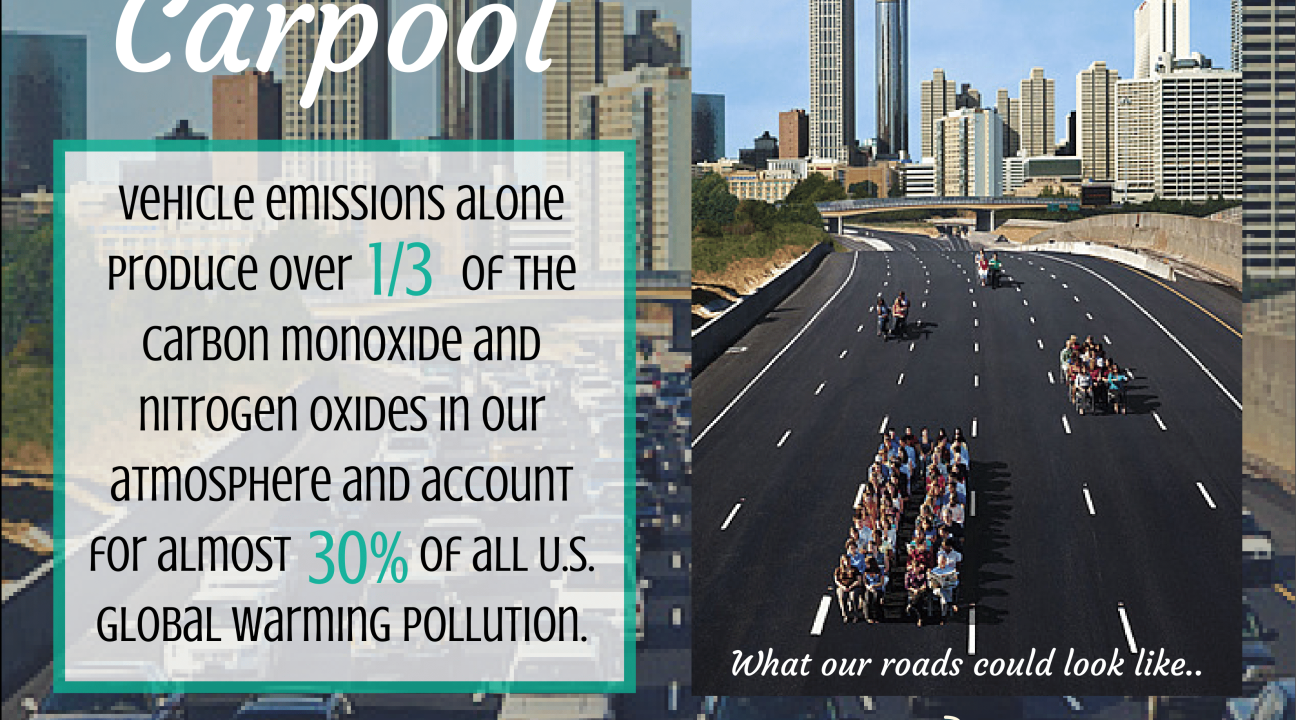 Tip 5: Carpooling tips