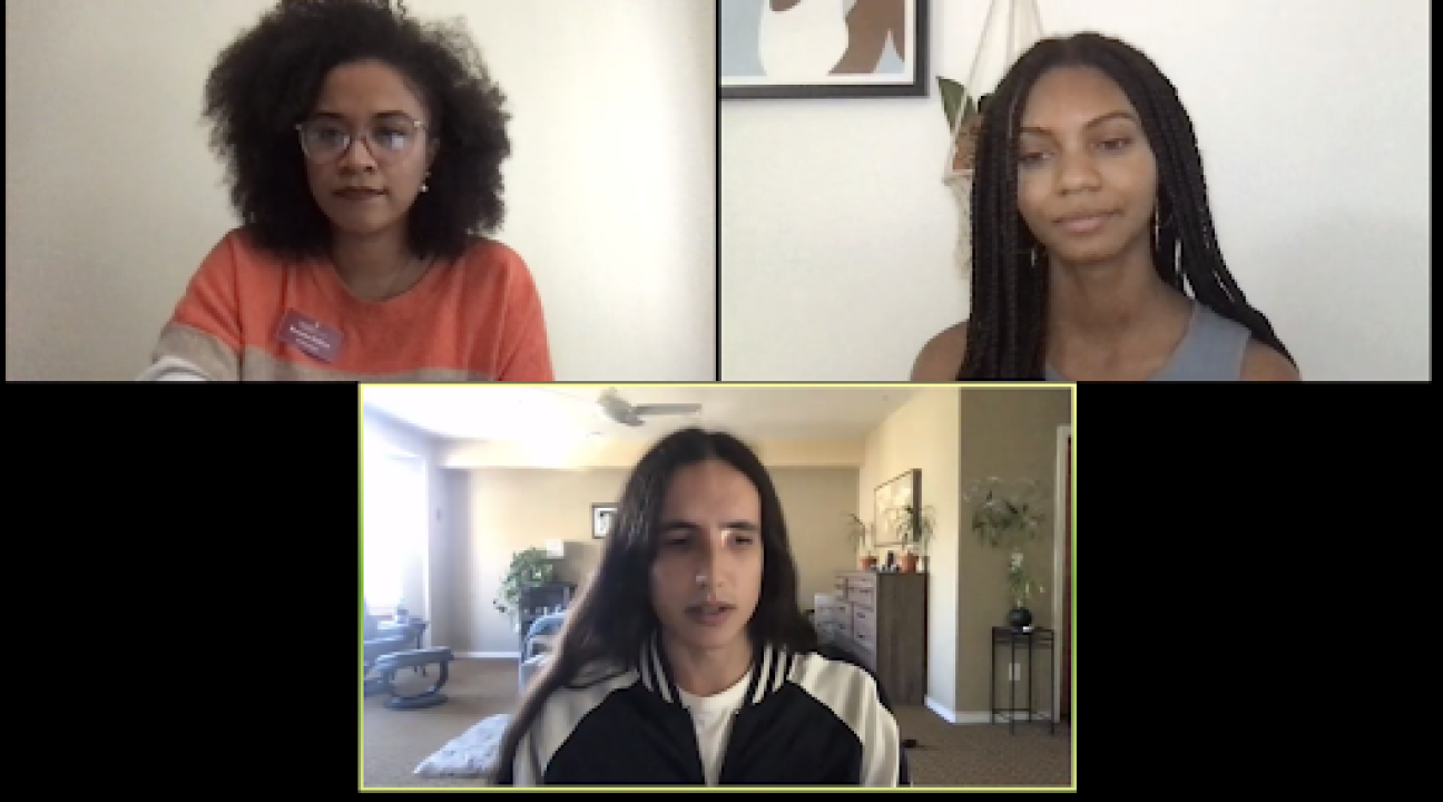 Screenshot of Justice for Planet Zoom meeting 1