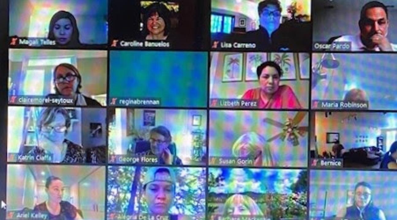 Screenshot of Covid-era Zoom Meeting