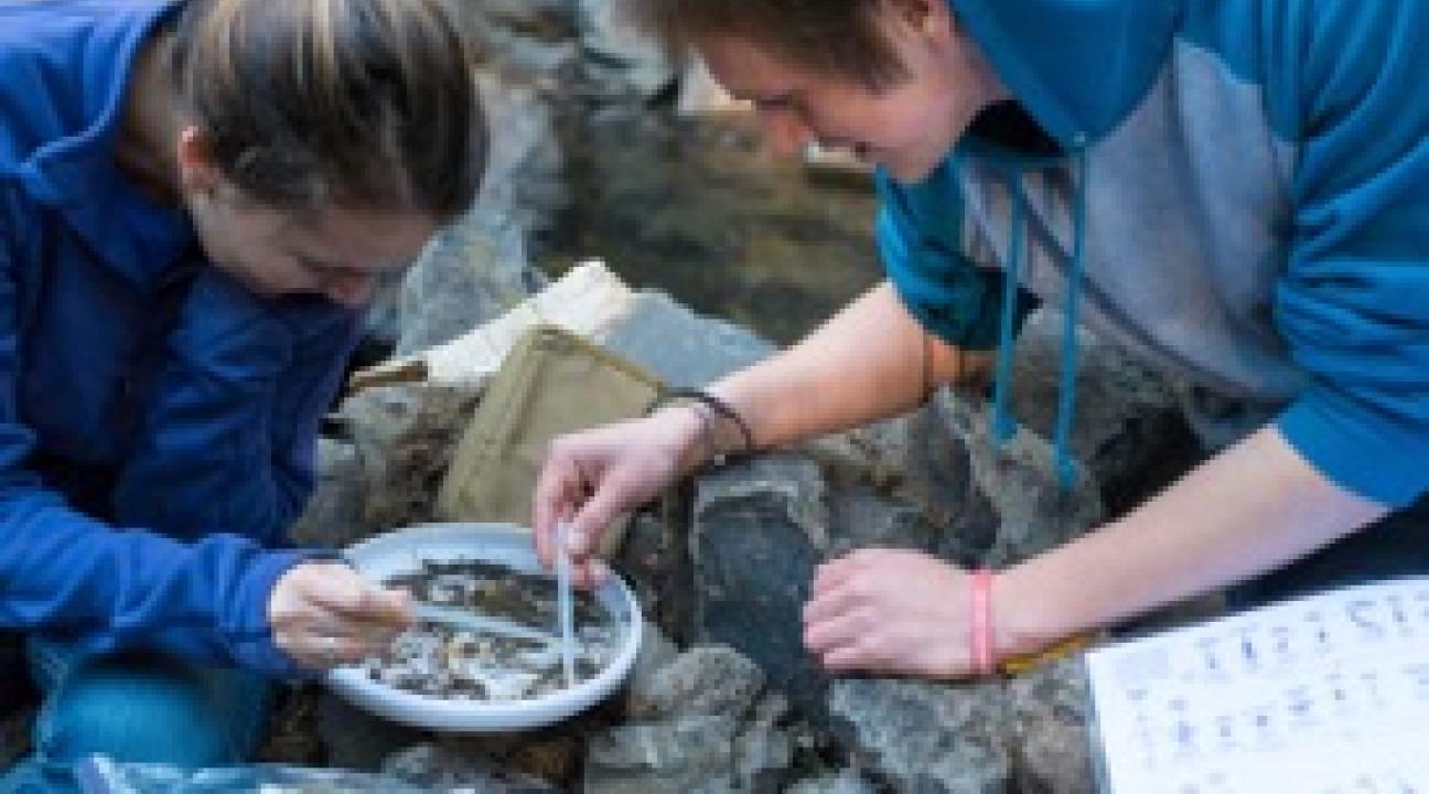 Students sampling Copeland Creek