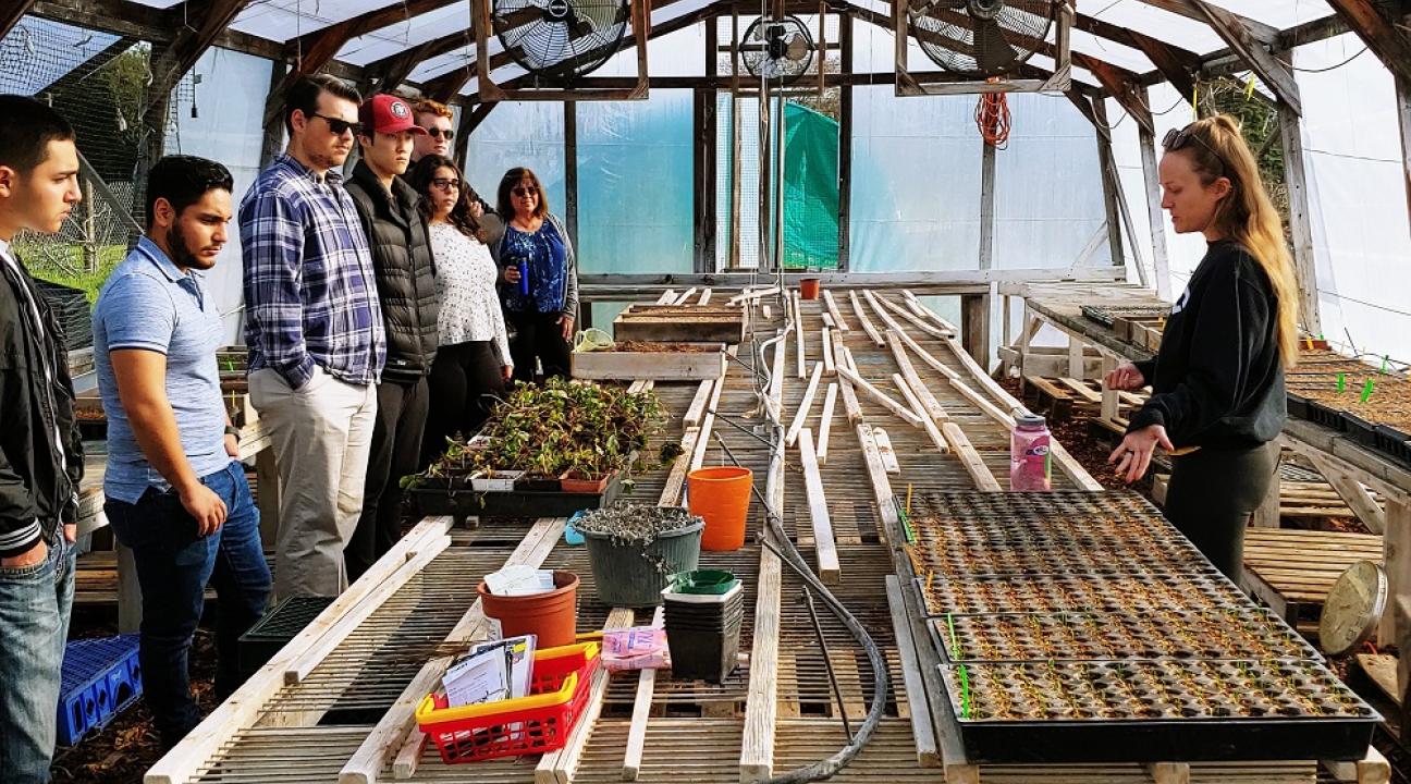 Students at greenhouse project