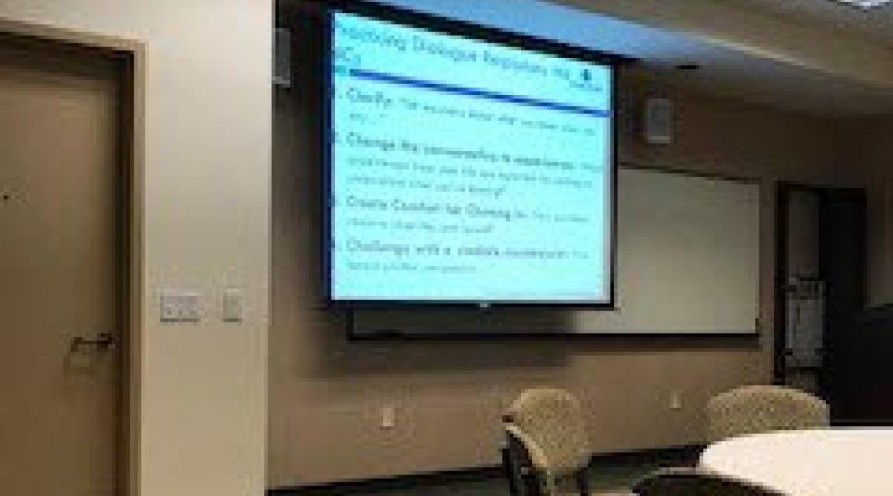Workshop on Building Capacity Through Dialogue