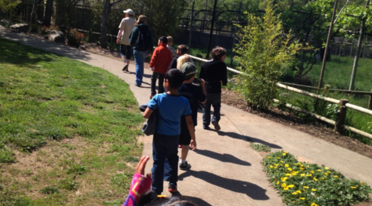 Students raised money for Safari West then got to go on a tour.
