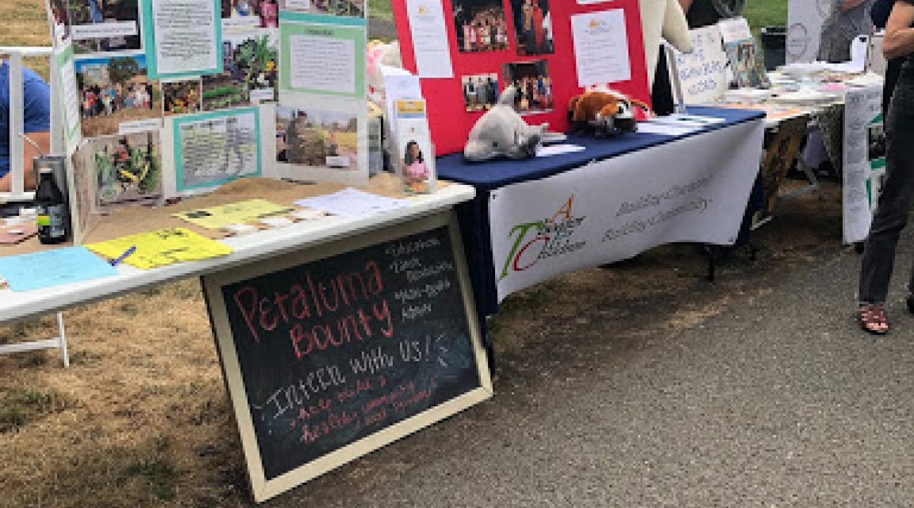 Posters on tables outside at the Fair