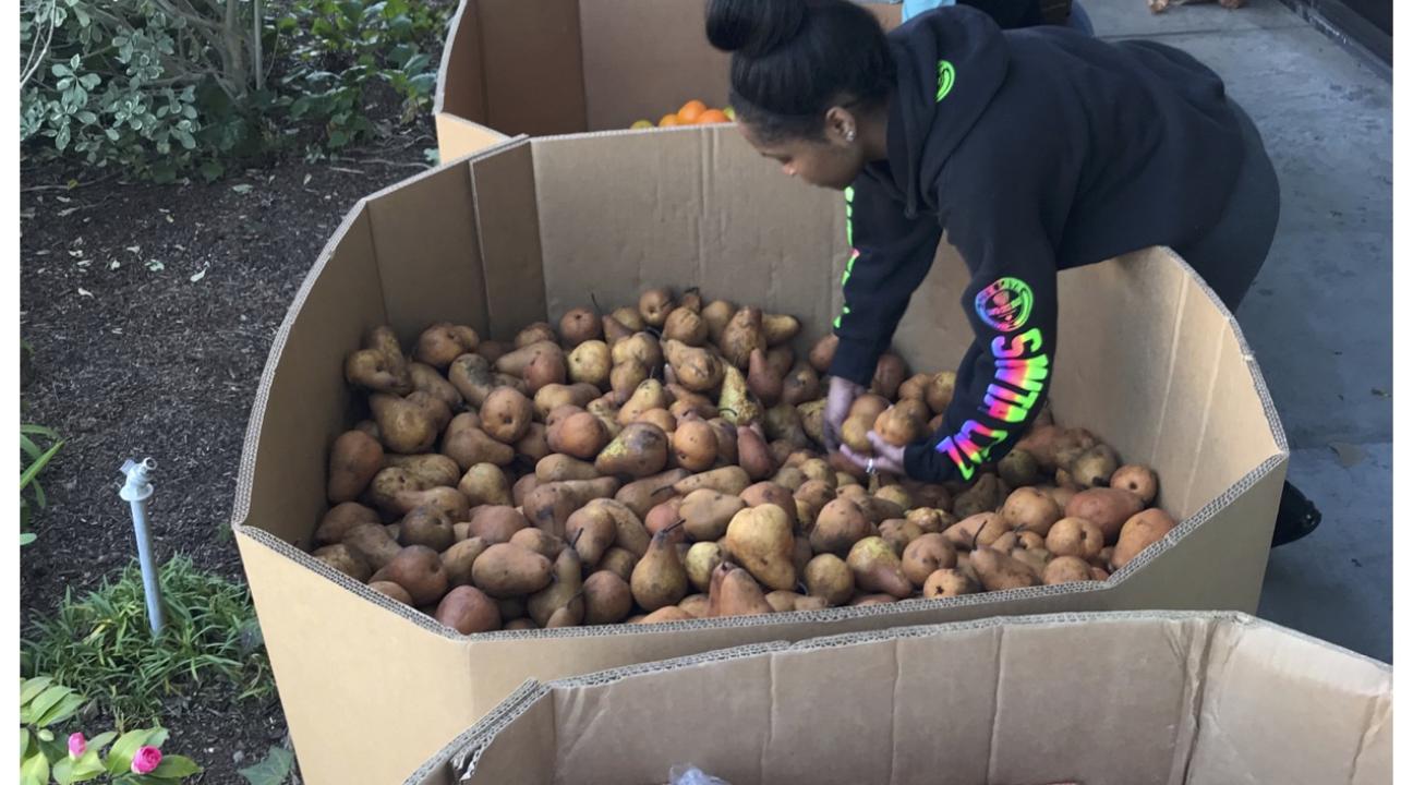 Volunteers sorting food into bags