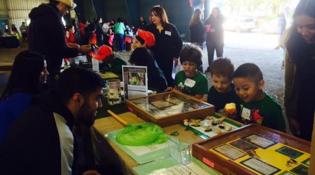 Elementary school students enjoying an Entomology display created by SSU service-learners at Ag Days.