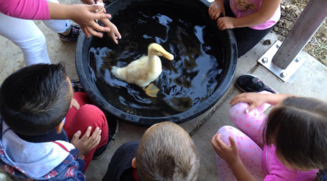 Young kids enjoy bathing a duck with help from SSU students