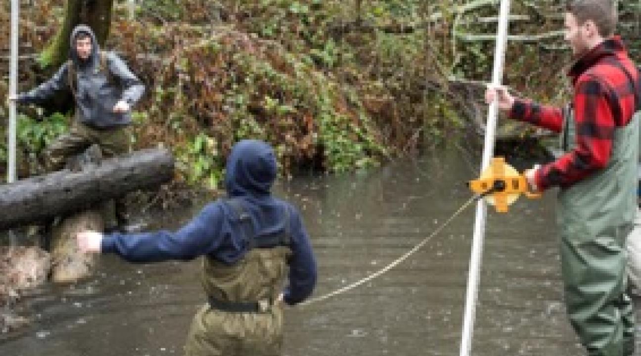 Three students in the Watershed course take a transect of Dutch Bill Creek to sample water flow rates throughout. This data is an essential piece to their report to Goldridge Resource Conservation District on the suitability of that site for salmon spawni