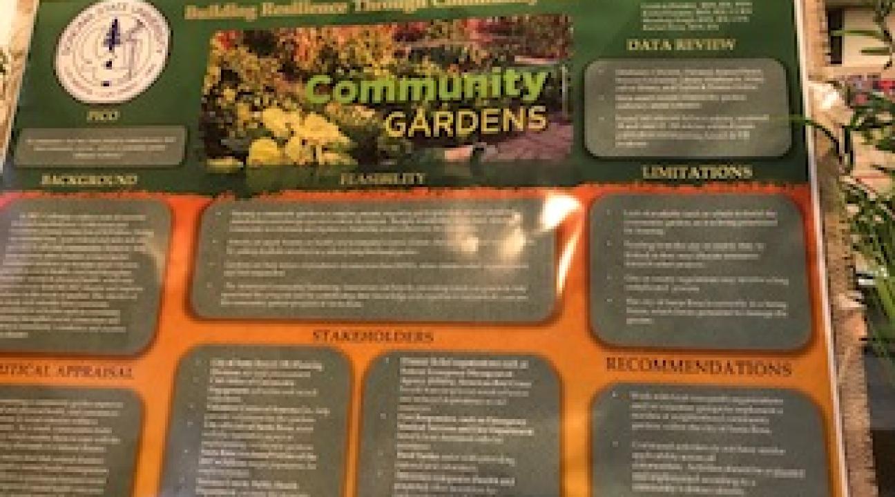 Project by the RNs for the City of Santa Rosa