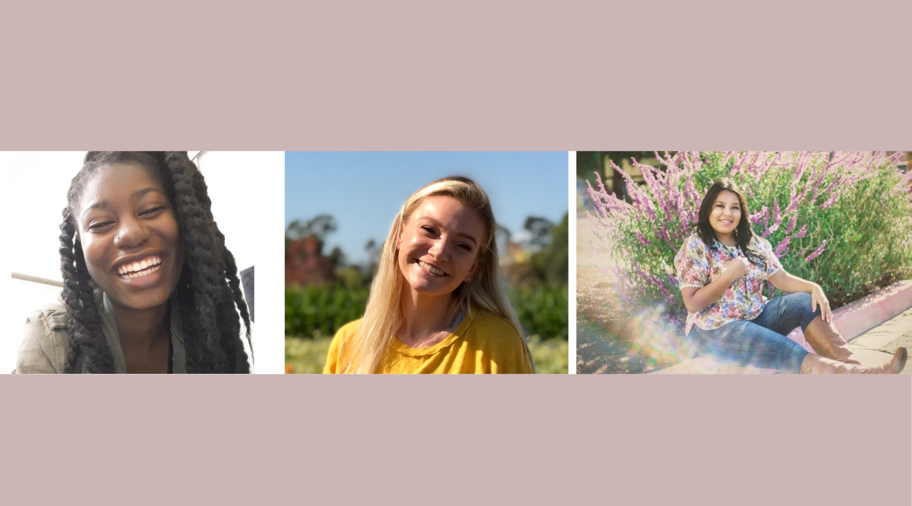 Americorps Vista Collage