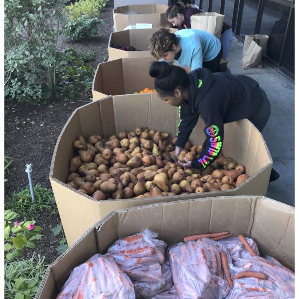 Volunteers sorting food into bags
