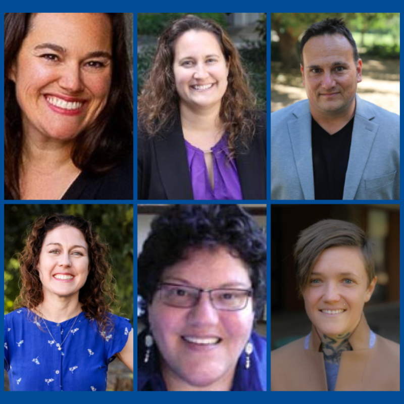 Faculty Fellows and CCE Faciulty Fellow Director