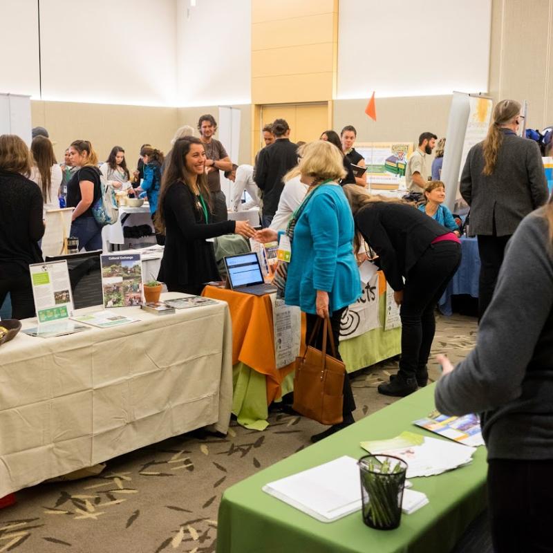 Tabling at Discovery Day event