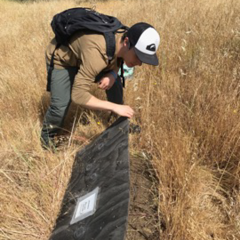 Student working on fire response efforts