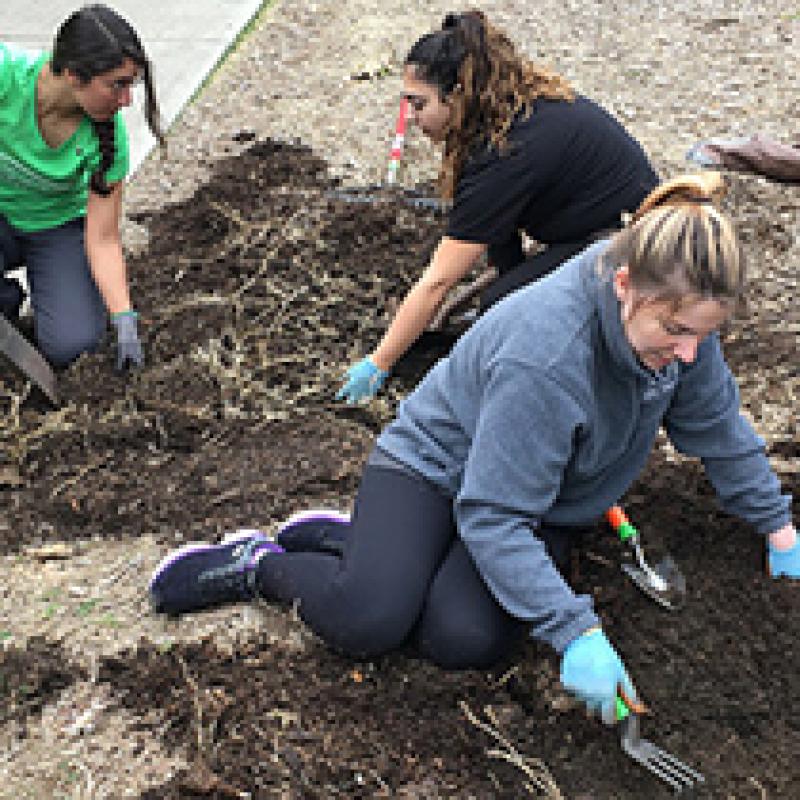 Students doing landscaping work