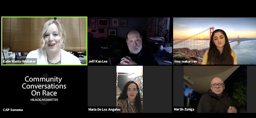 Community Conversations on Race Zoom meeting - Art as agent for change