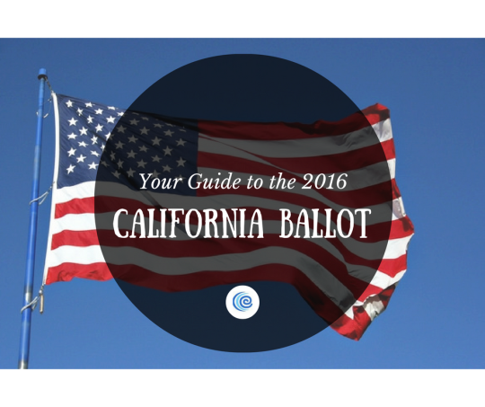 California Ballot Guide and American Flag