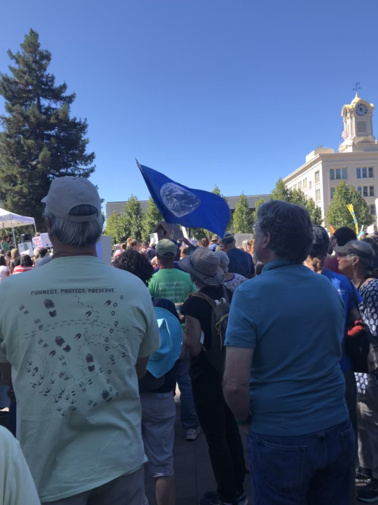 Folks marching during the Climate March 2019