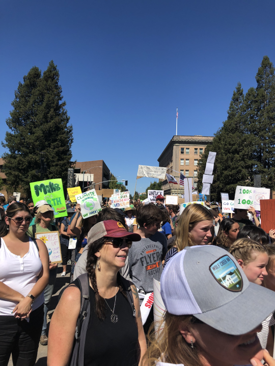 Participants at Climate March 2019