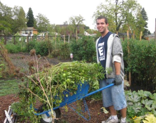 Getting rid of weeds at bayer farm