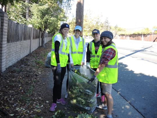 My teammates and I doing yard work in the Bennett Valley neighborhood for Sonoma Serves.