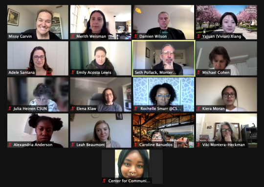 Zoom screenshot - Deepening Reflections meeting
