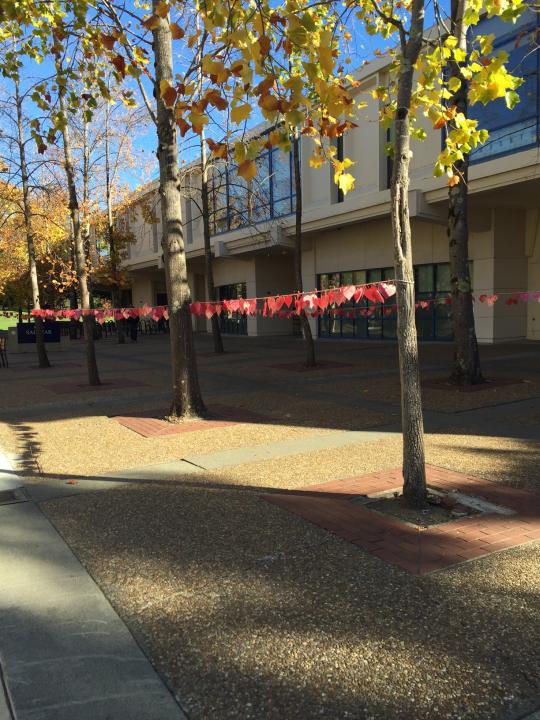 The display of 1,100 red hearts in Salazar Quad, representing how many college student's lives are lost each year.