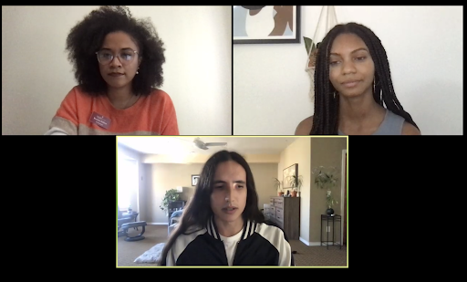 Screenshot of Justice for Planet Zoom meeting 1