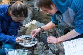 Students sampling Copeland Creek