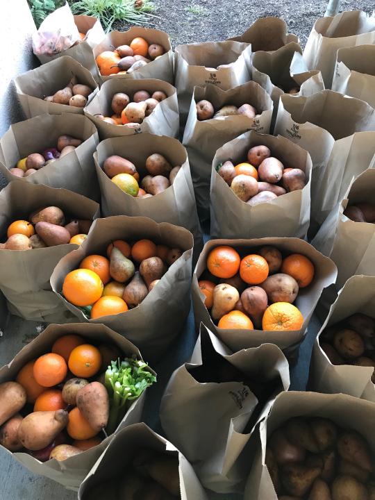 Food that is pre-bagged for volunteers
