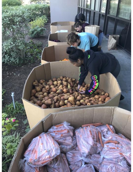 Volunteers sorting food into bags