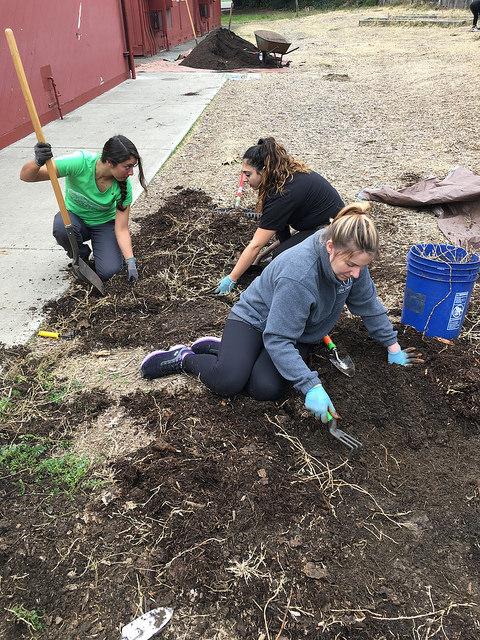 Students working hard with Daily Acts programs coordinator Liz